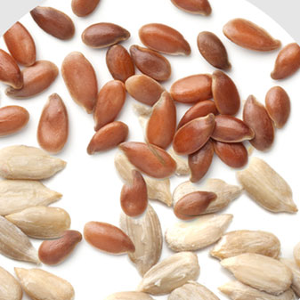 seeds